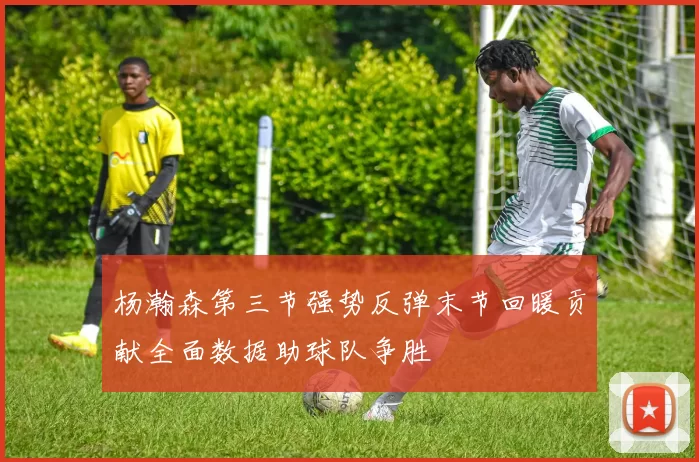 杨瀚森第三节强势反弹末节回暖贡献全面数据助球队争胜